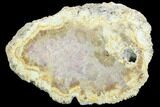 Polished, Fossil Coral Slab - Indonesia #121944-1